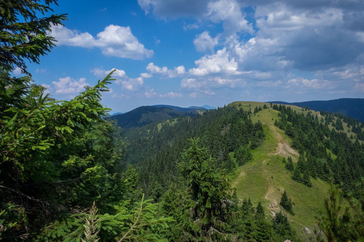 Rakytov od horárne Teplô (Veľká Fatra)