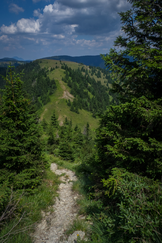 Rakytov od horárne Teplô (Veľká Fatra)