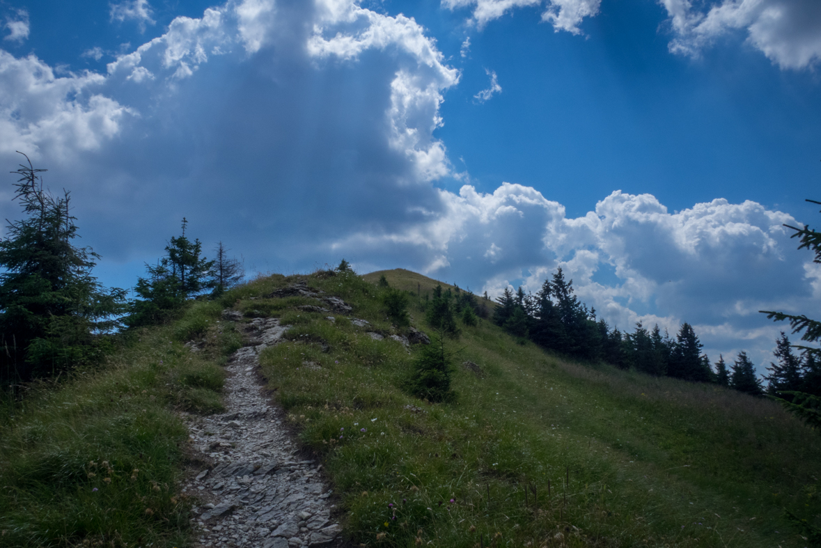 Rakytov od horárne Teplô (Veľká Fatra)