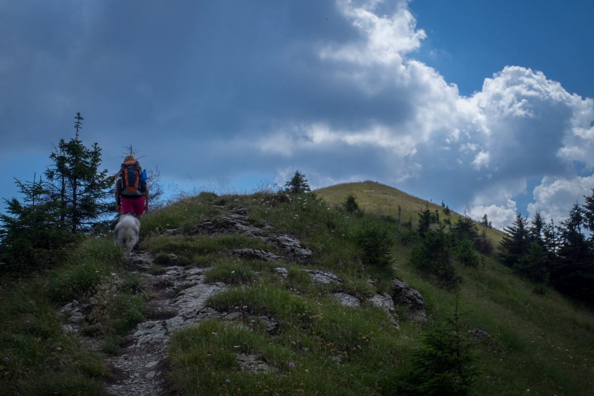 Rakytov od horárne Teplô (Veľká Fatra)