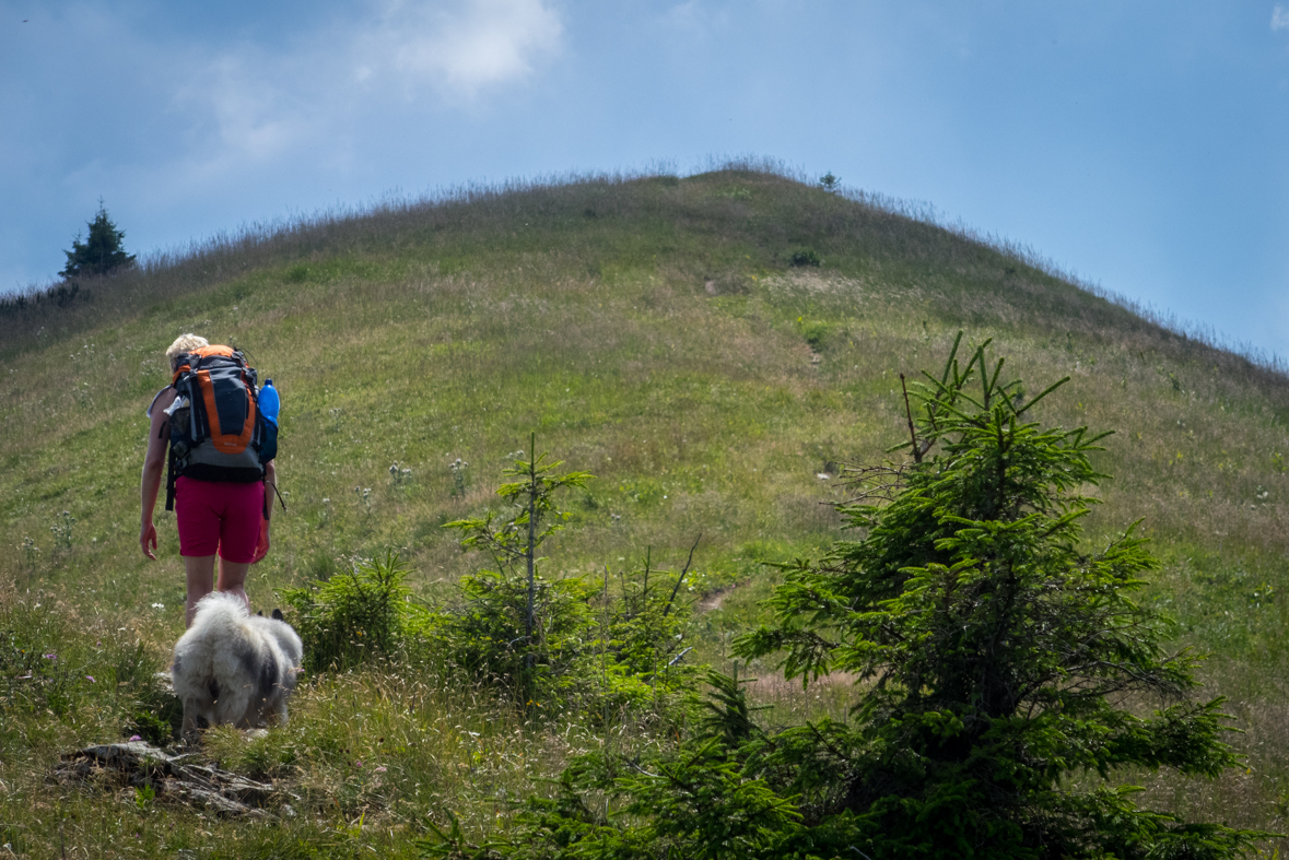 Rakytov od horárne Teplô (Veľká Fatra)