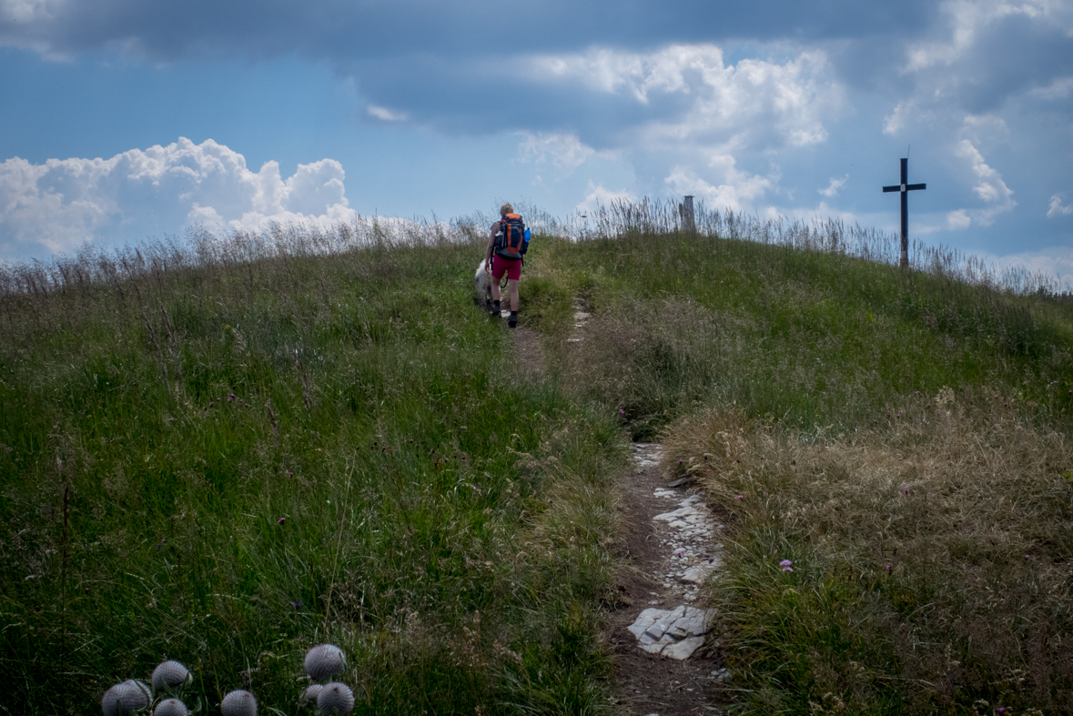 Rakytov od horárne Teplô (Veľká Fatra)