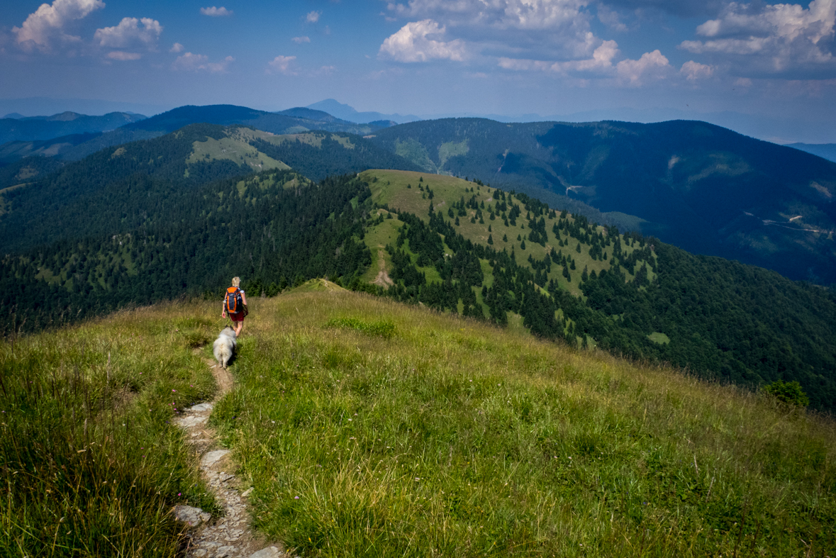 Rakytov od horárne Teplô (Veľká Fatra)