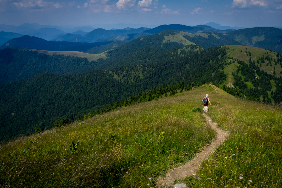 Rakytov od horárne Teplô (Veľká Fatra)