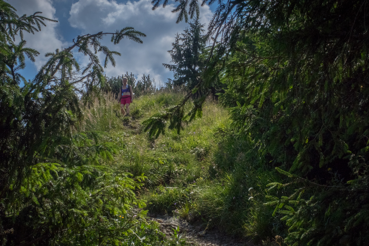 Rakytov od horárne Teplô (Veľká Fatra)