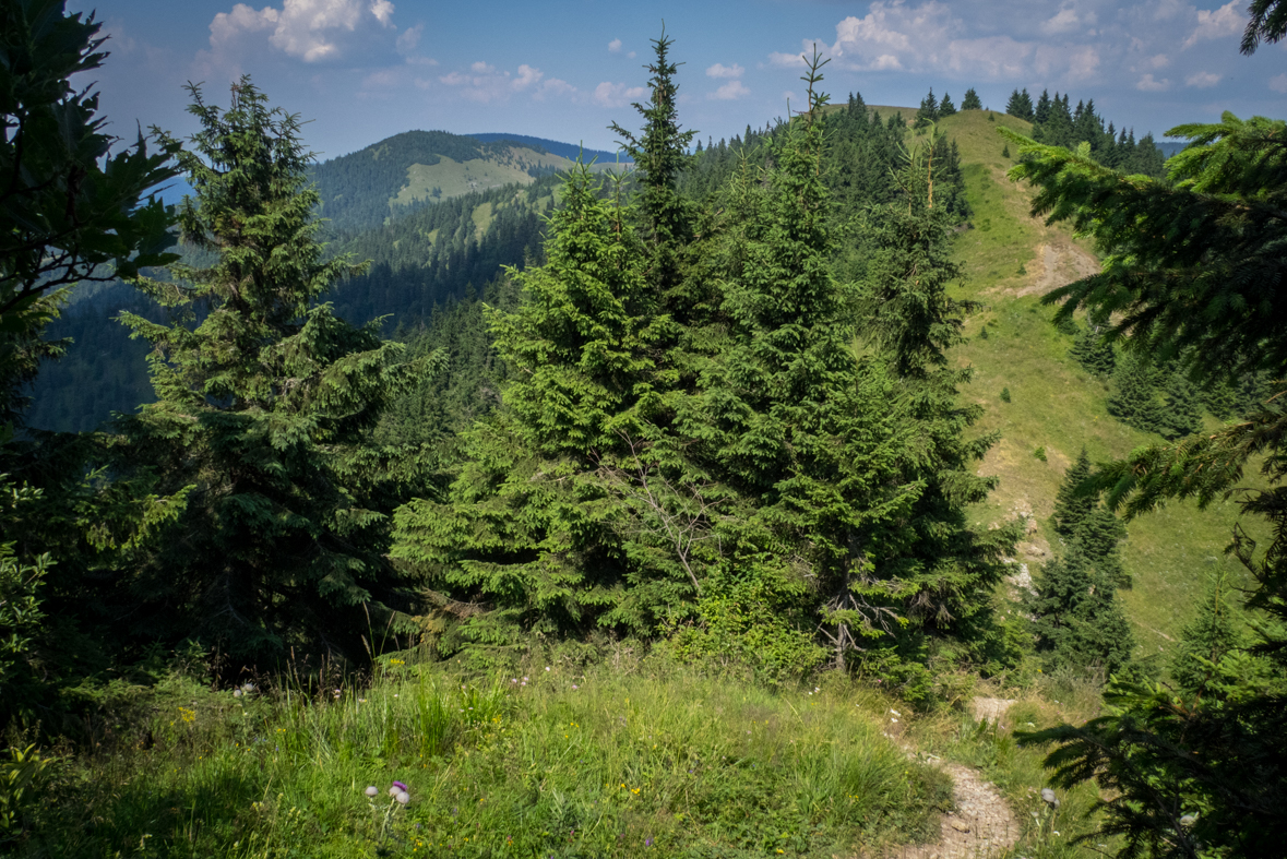 Rakytov od horárne Teplô (Veľká Fatra)