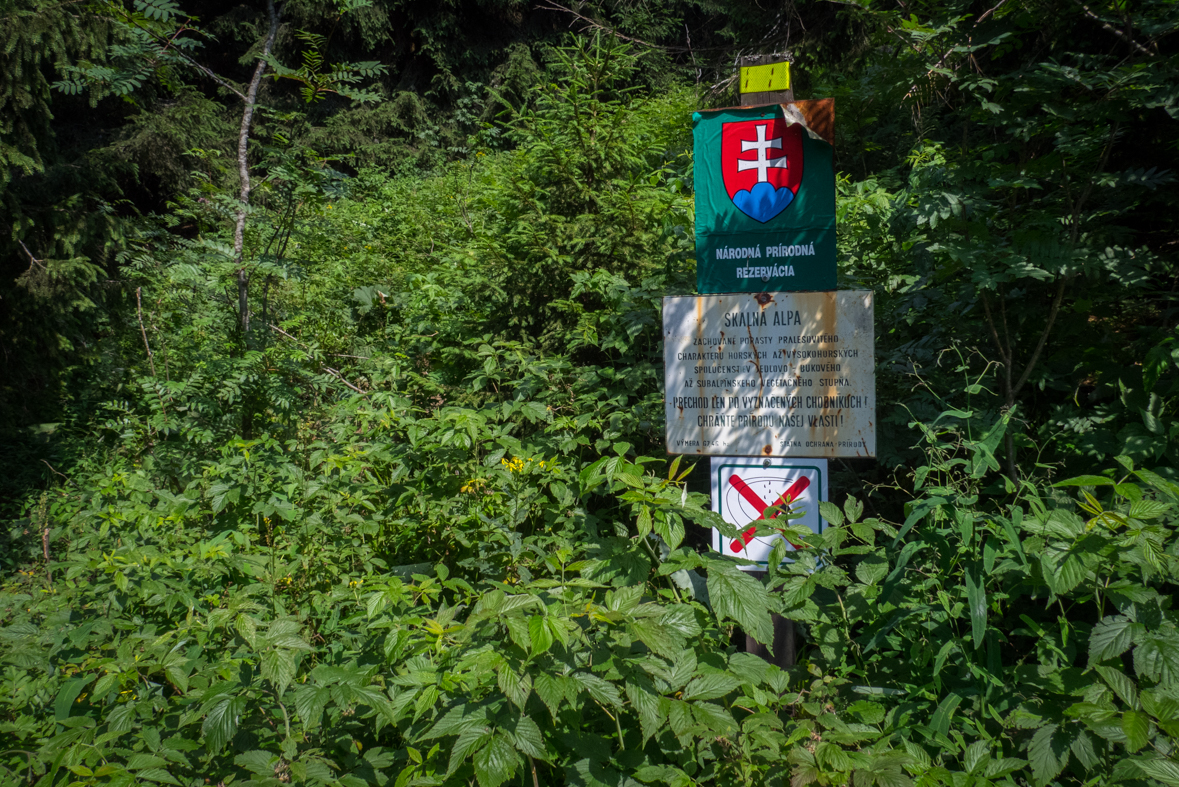 Rakytov od horárne Teplô (Veľká Fatra)