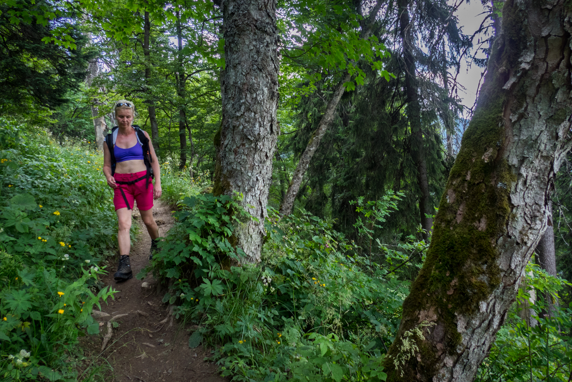 Rakytov od horárne Teplô (Veľká Fatra)