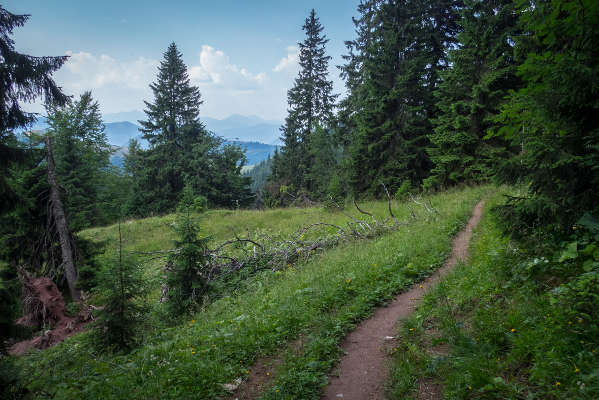 Rakytov od horárne Teplô (Veľká Fatra)