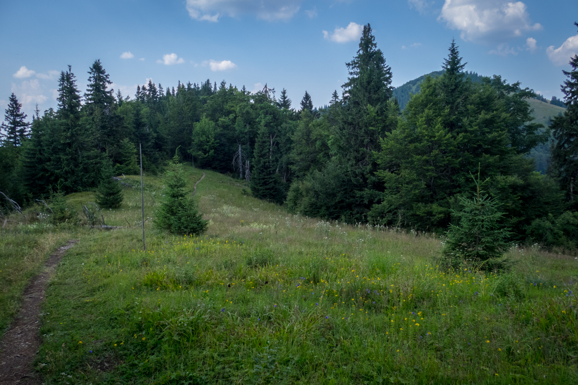 Rakytov od horárne Teplô (Veľká Fatra)