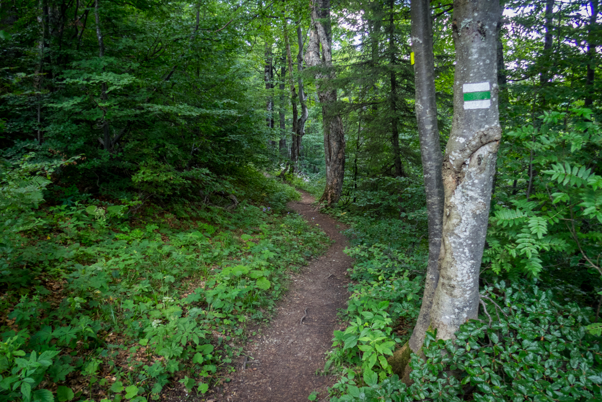 Rakytov od horárne Teplô (Veľká Fatra)