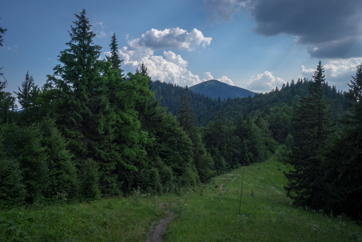 Rakytov od horárne Teplô (Veľká Fatra)