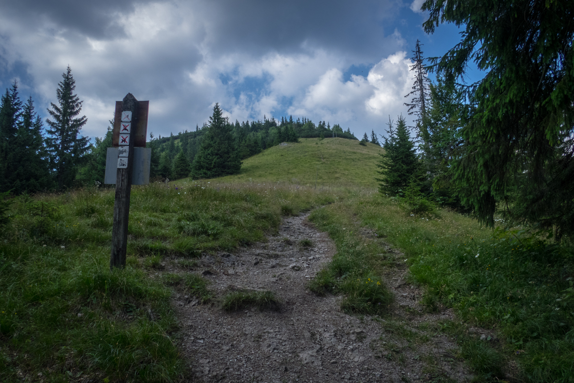 Rakytov od horárne Teplô (Veľká Fatra)