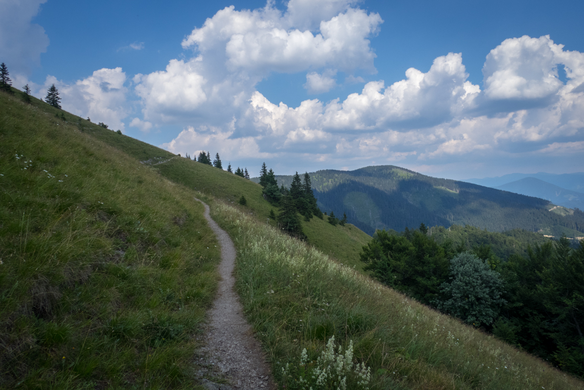 Rakytov od horárne Teplô (Veľká Fatra)