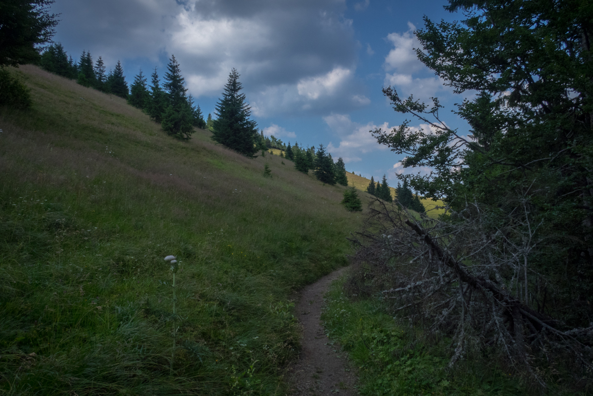 Rakytov od horárne Teplô (Veľká Fatra)