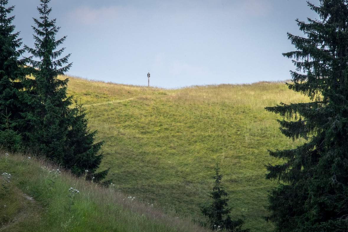 Rakytov od horárne Teplô (Veľká Fatra)