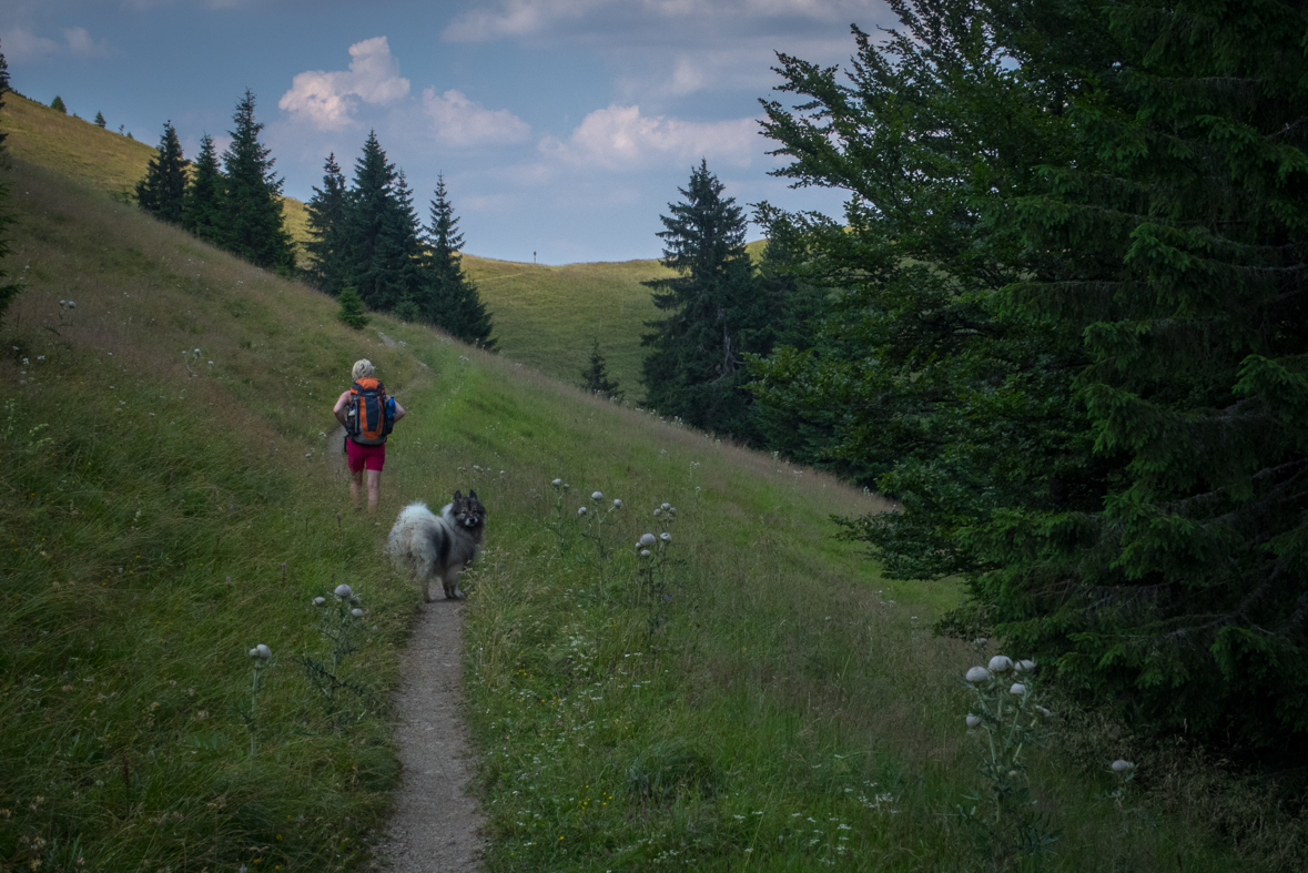 Rakytov od horárne Teplô (Veľká Fatra)