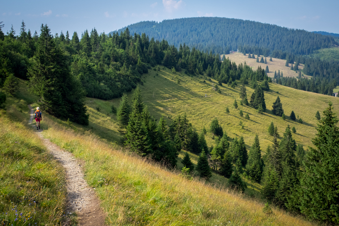 Rakytov od horárne Teplô (Veľká Fatra)