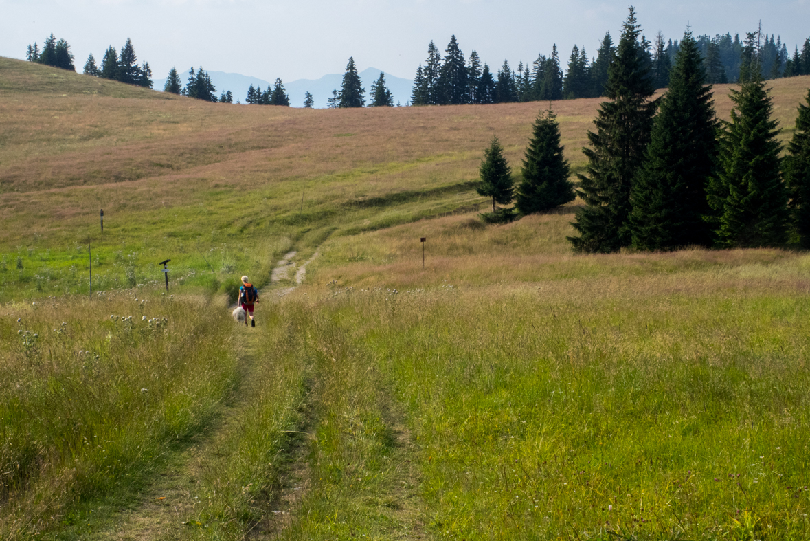 Rakytov od horárne Teplô (Veľká Fatra)