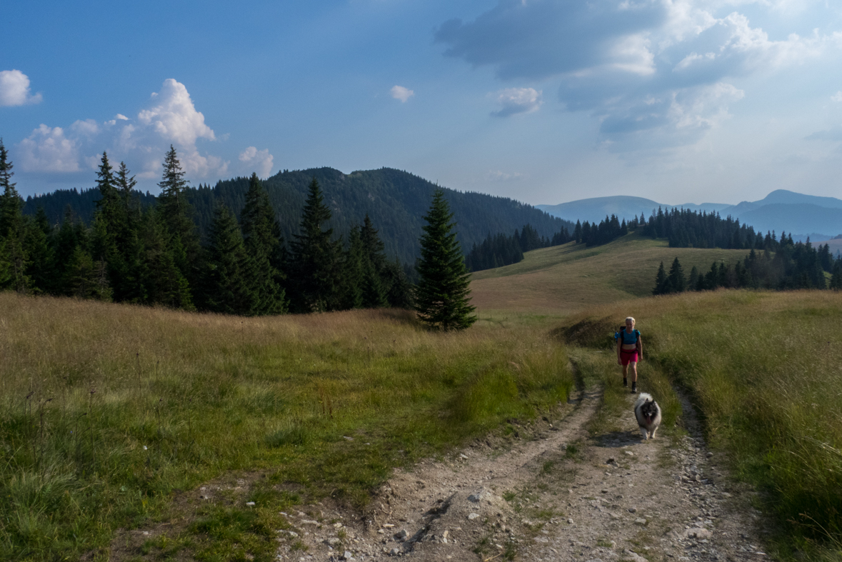 Rakytov od horárne Teplô (Veľká Fatra)