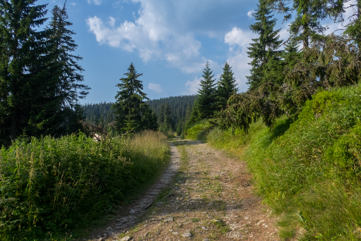 Rakytov od horárne Teplô (Veľká Fatra)