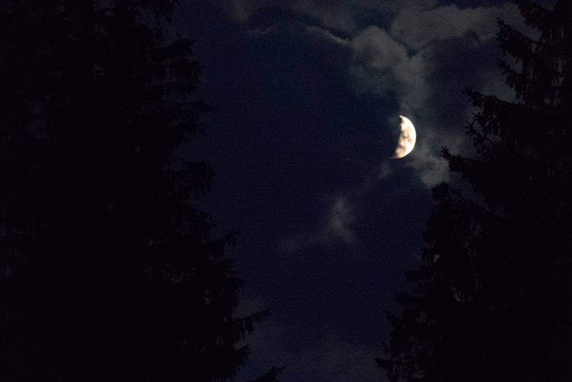 Rakytov od horárne Teplô (Veľká Fatra)