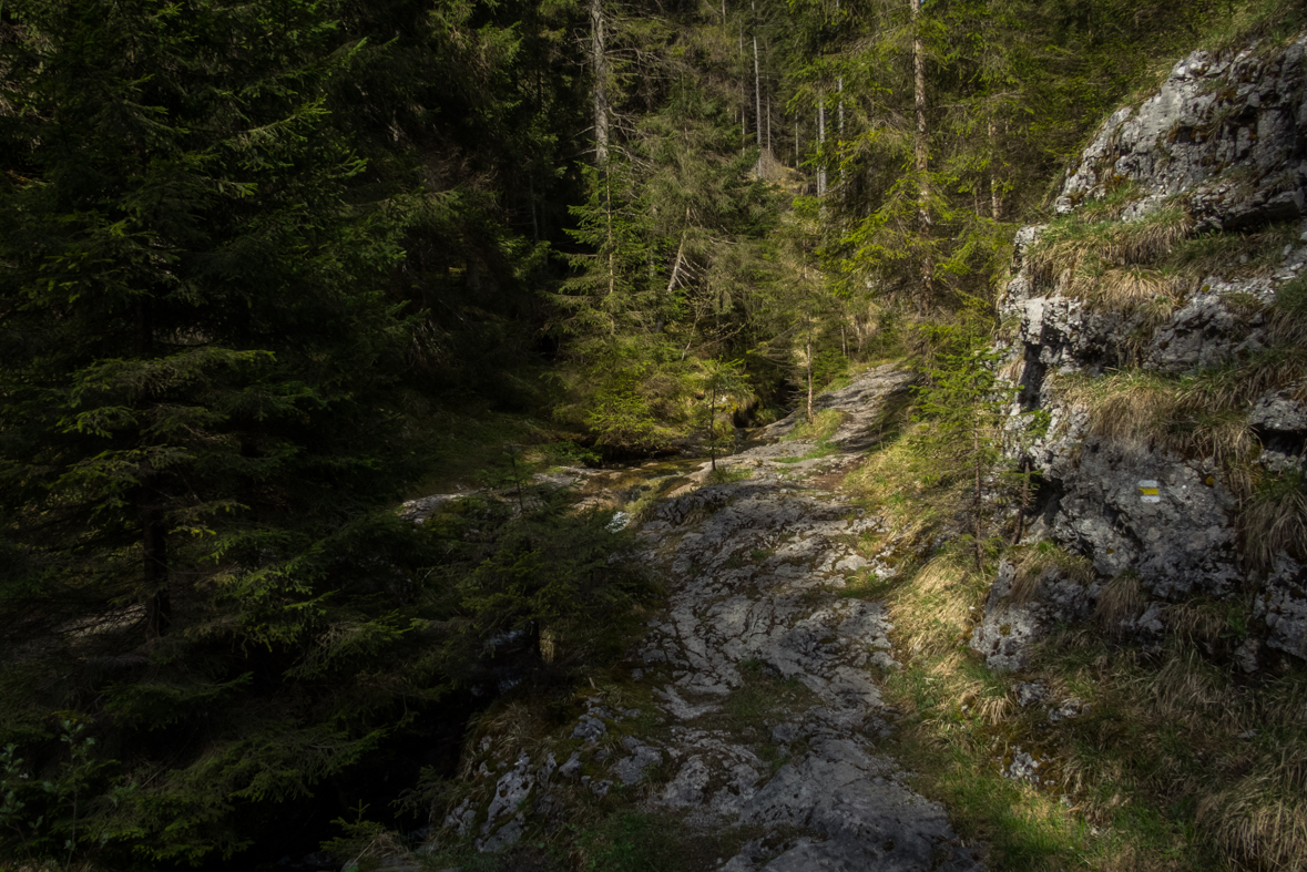 Siná (Nízke Tatry)