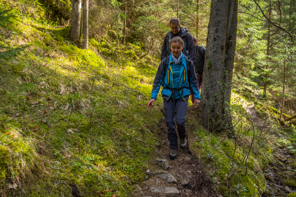 Siná (Nízke Tatry)