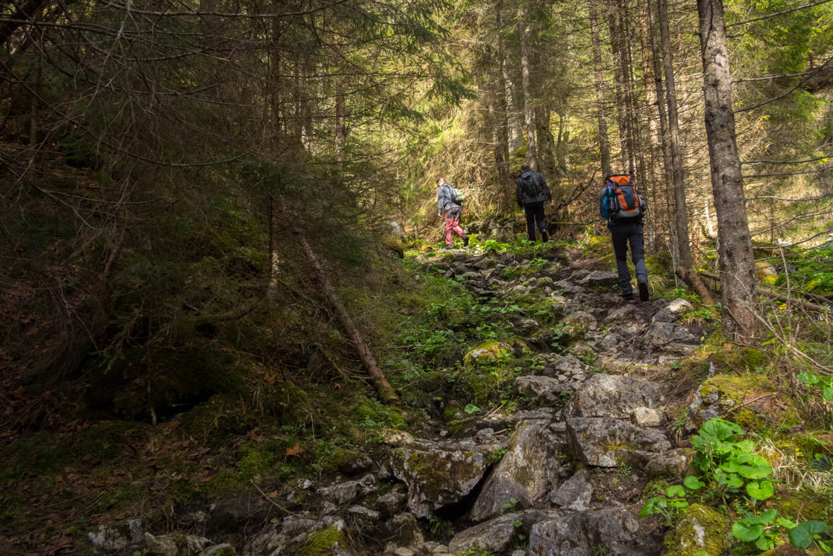 Siná (Nízke Tatry)