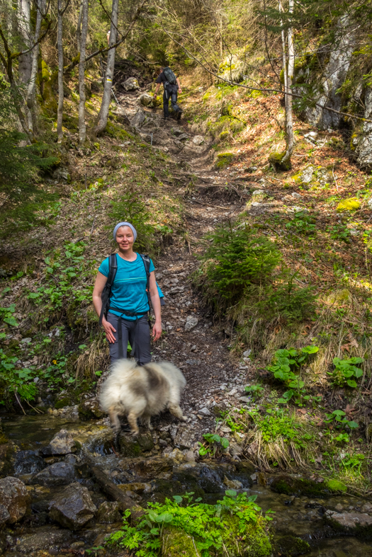 Siná (Nízke Tatry)