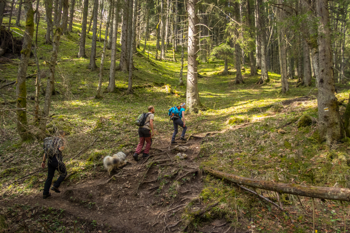 Siná (Nízke Tatry)