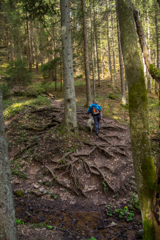 Siná (Nízke Tatry)