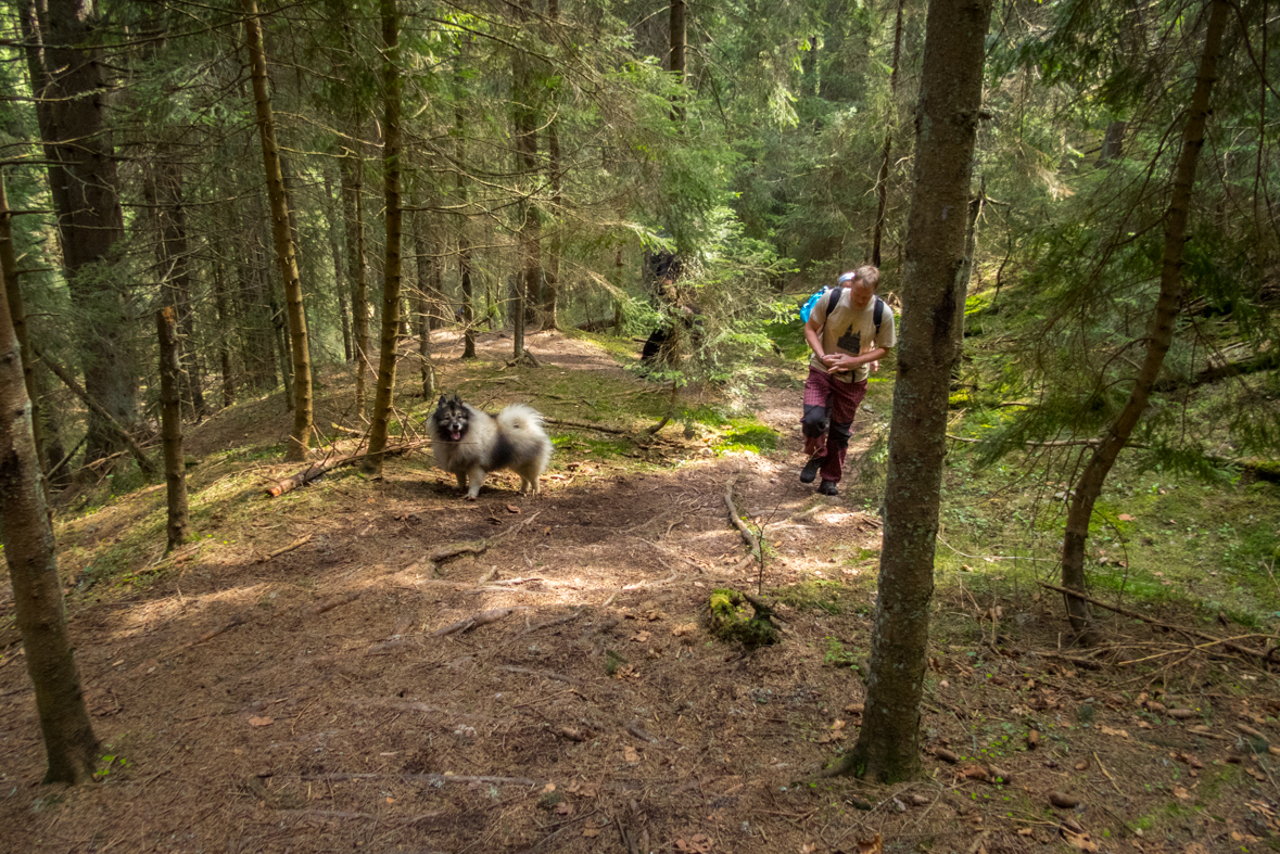 Siná (Nízke Tatry)