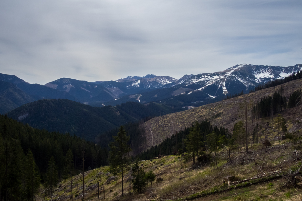 Siná (Nízke Tatry)