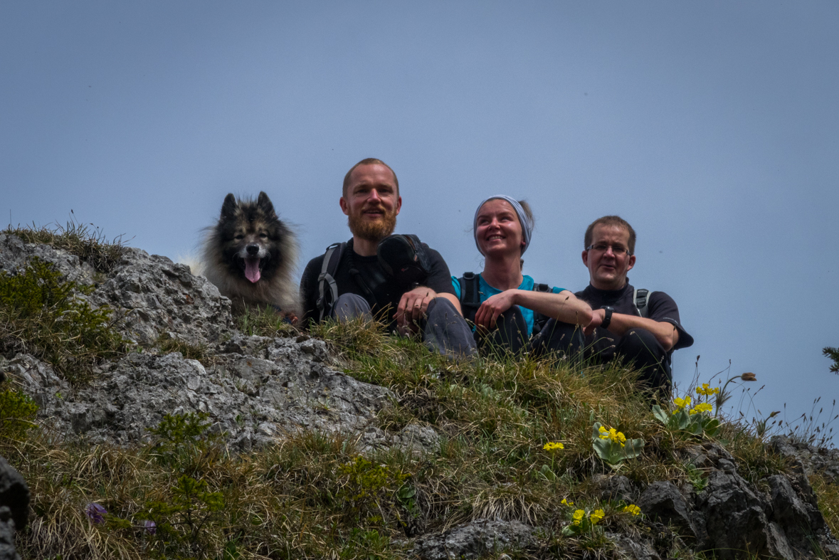 Siná (Nízke Tatry)