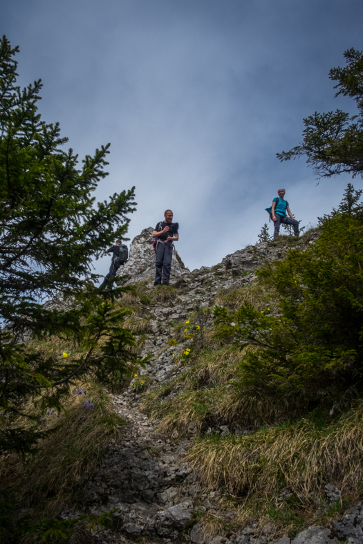 Siná (Nízke Tatry)