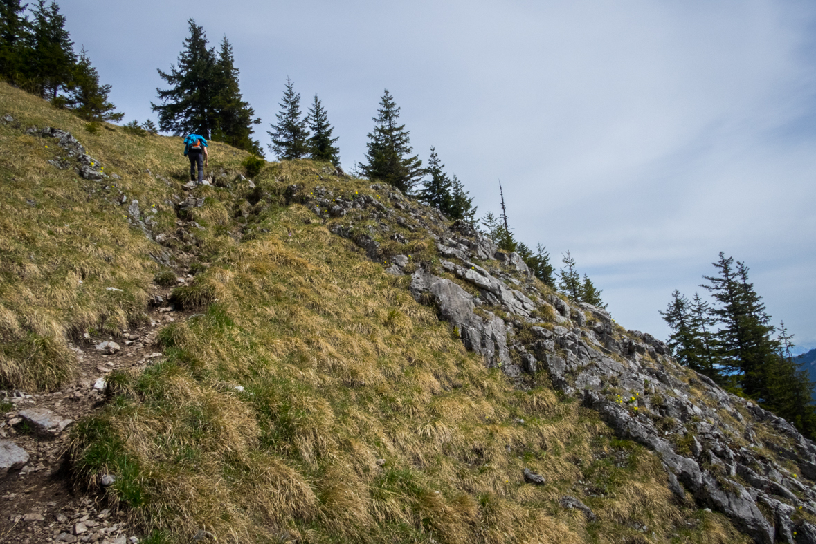 Siná (Nízke Tatry)