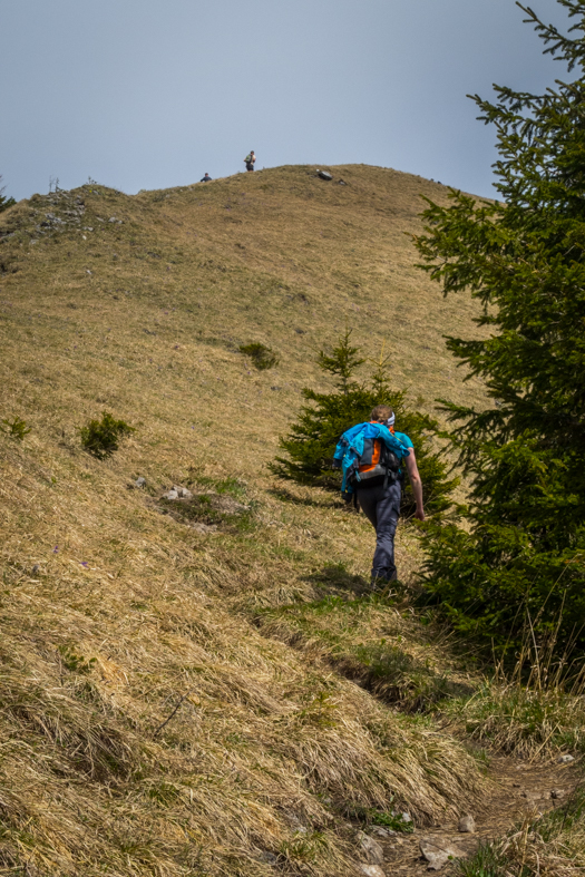 Siná (Nízke Tatry)