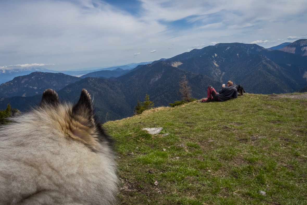 Siná (Nízke Tatry)