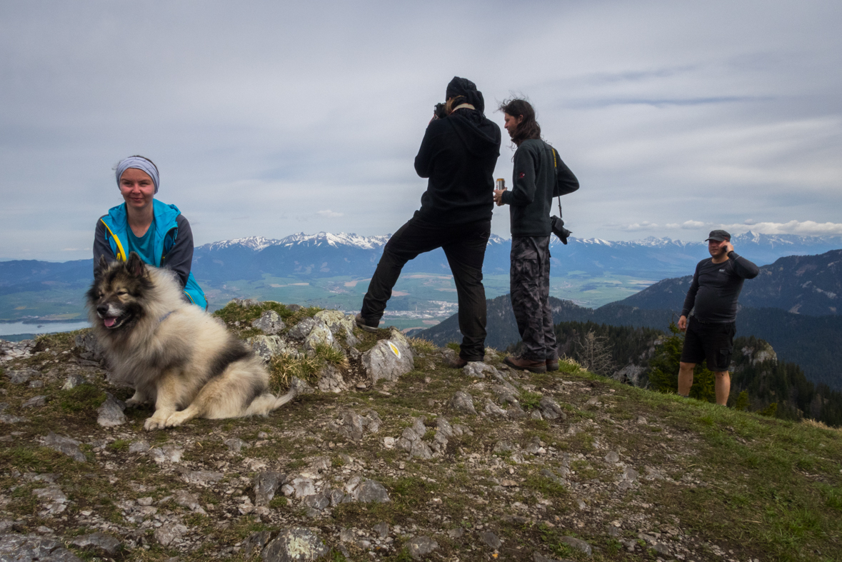 Siná (Nízke Tatry)