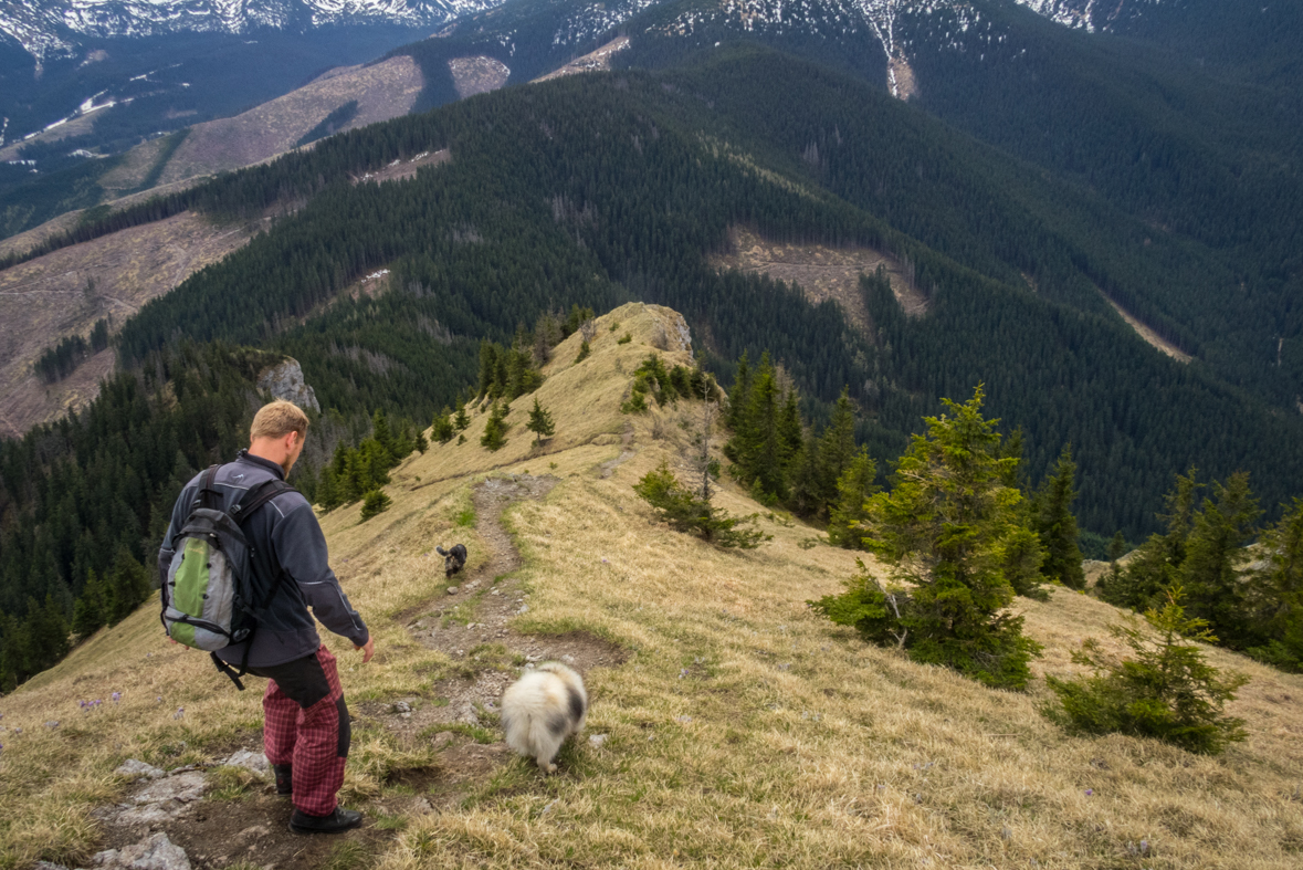 Siná (Nízke Tatry)