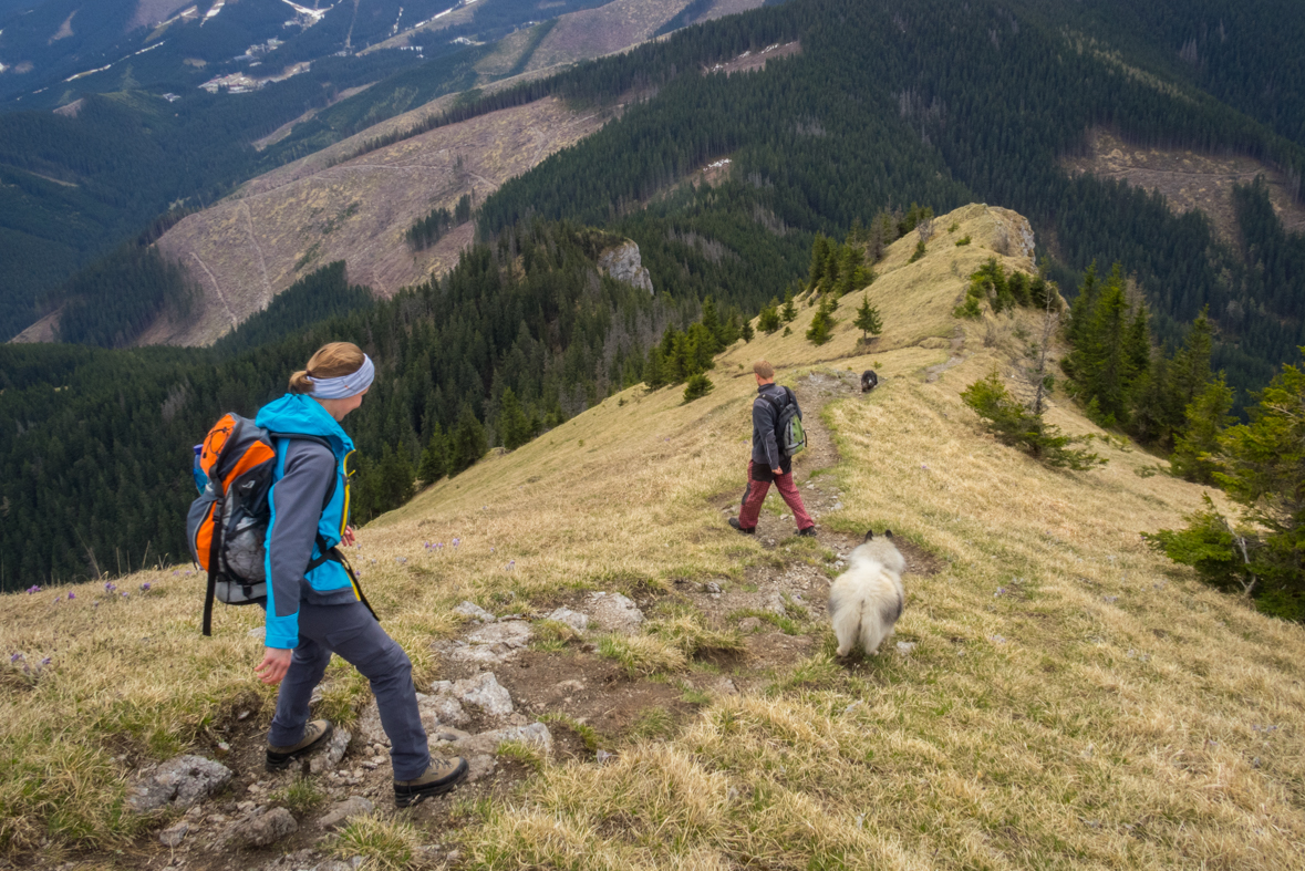 Siná (Nízke Tatry)