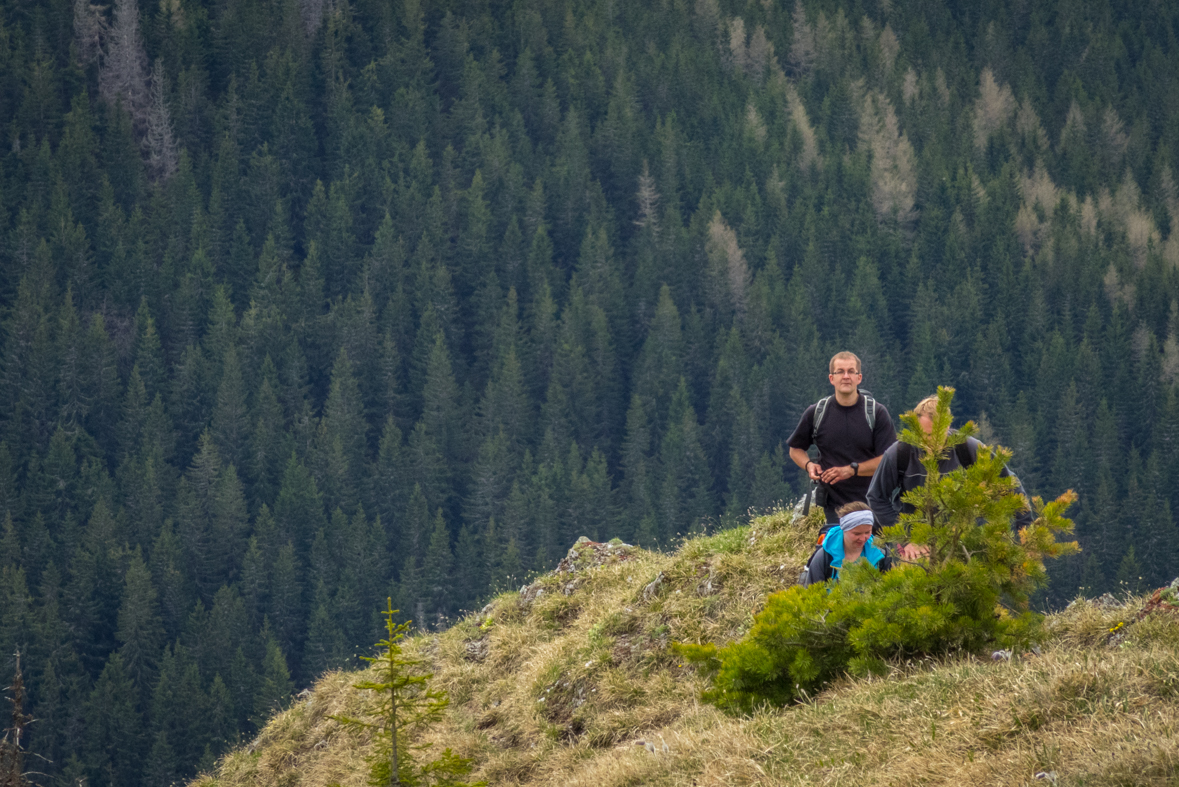 Siná (Nízke Tatry)