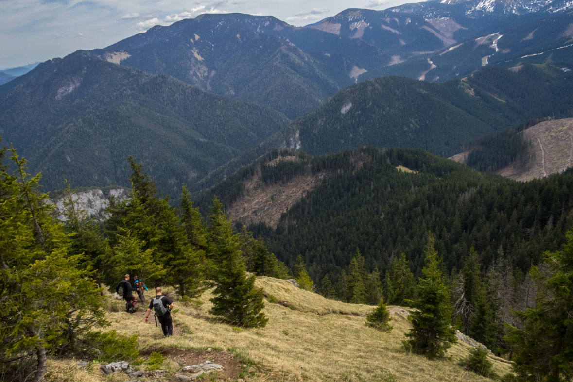 Siná (Nízke Tatry)