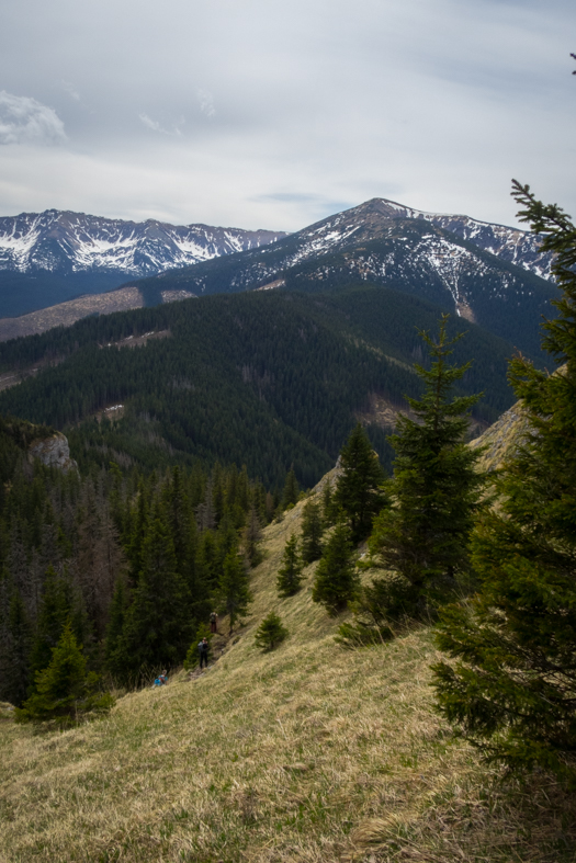 Siná (Nízke Tatry)