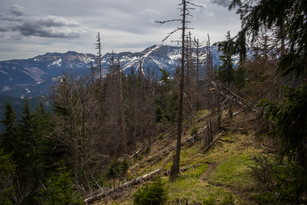 Siná (Nízke Tatry)