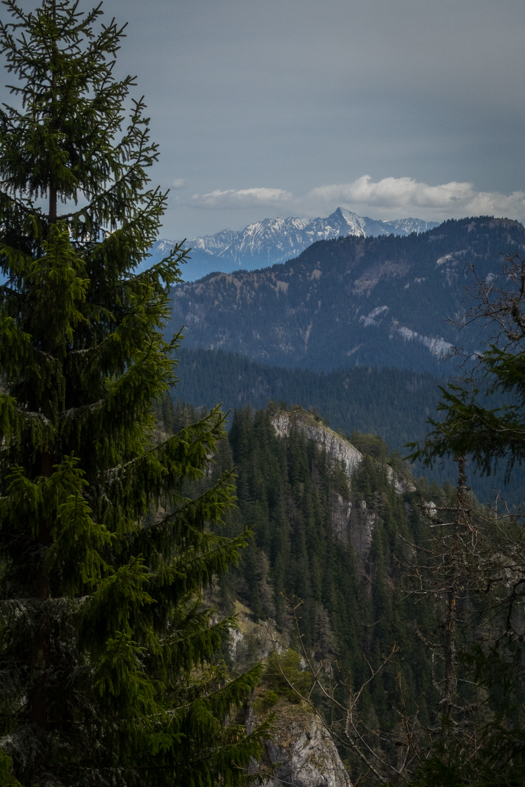 Siná (Nízke Tatry)