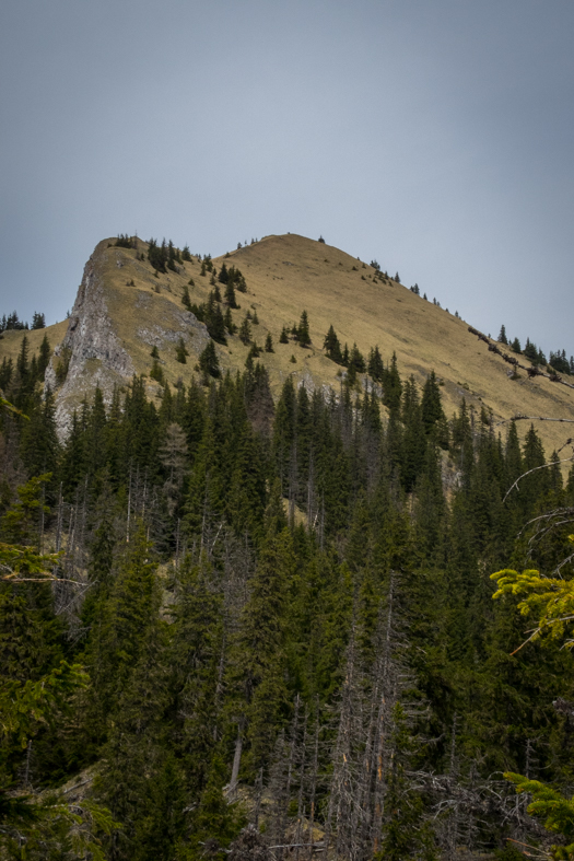 Siná (Nízke Tatry)