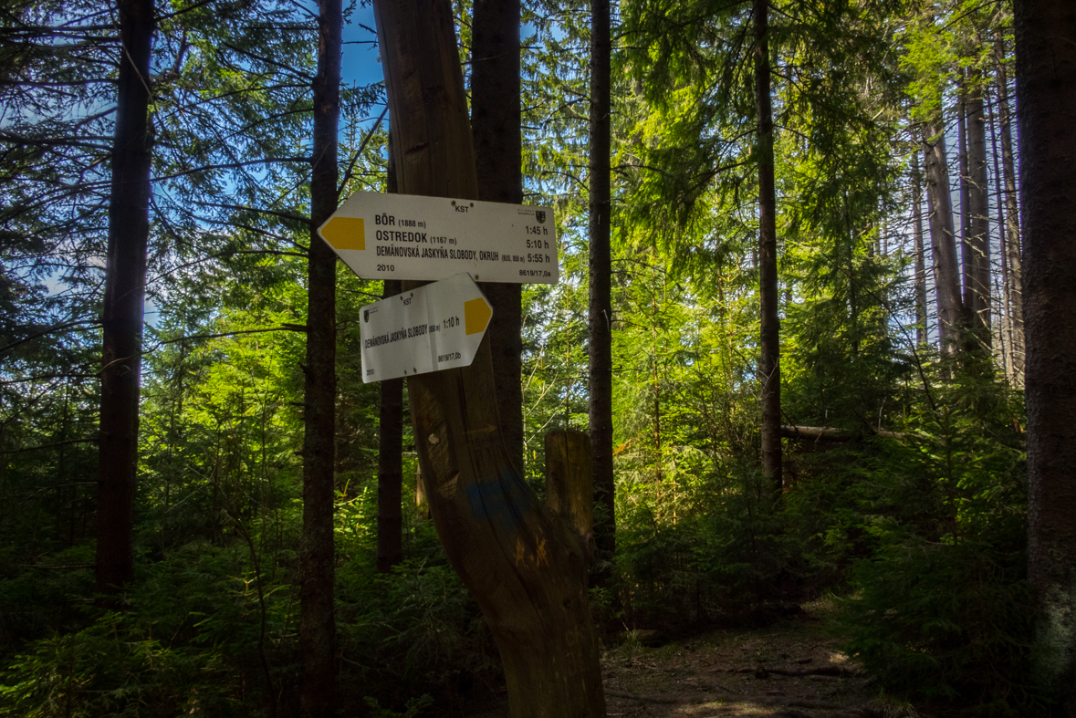 Siná (Nízke Tatry)