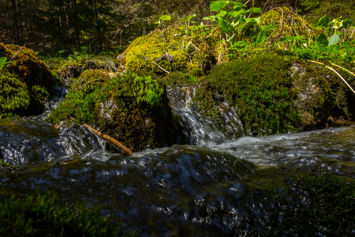 Siná (Nízke Tatry)